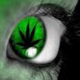 Avatar utente